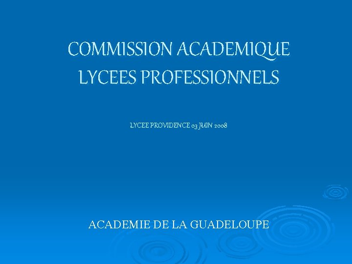COMMISSION ACADEMIQUE LYCEES PROFESSIONNELS LYCEE PROVIDENCE 03 JUIN 2008 ACADEMIE DE LA GUADELOUPE 