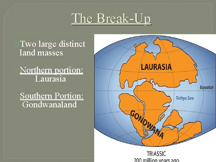 The Break-Up � Two large distinct land masses � Northern portion: Laurasia � Southern