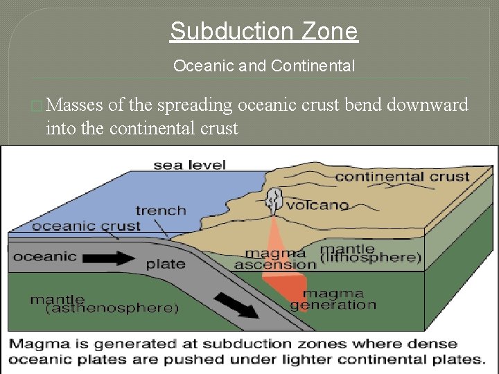 Subduction Zone Oceanic and Continental � Masses of the spreading oceanic crust bend downward