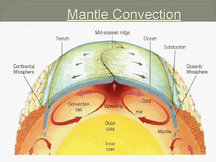 Mantle Convection Think density!: Temperature Differences 