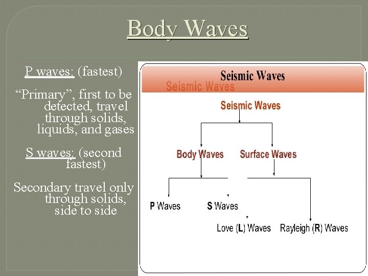 Body Waves P waves: (fastest) “Primary”, first to be detected, travel through solids, liquids,