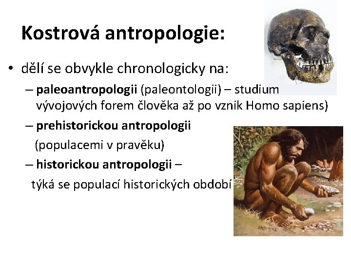 Kostrová antropologie: • dělí se obvykle chronologicky na: – paleoantropologii (paleontologii) – studium vývojových