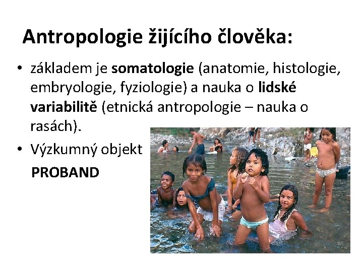 Antropologie žijícího člověka: • základem je somatologie (anatomie, histologie, embryologie, fyziologie) a nauka o