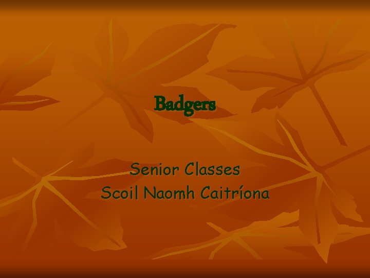 Badgers Senior Classes Scoil Naomh Caitríona 