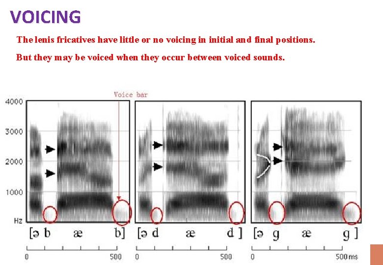 VOICING The lenis fricatives have little or no voicing in initial and final positions.