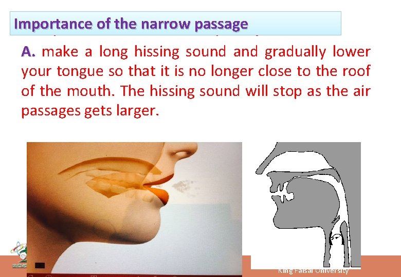 Importance of the narrow passage - Importance of the narrow passage A. make a