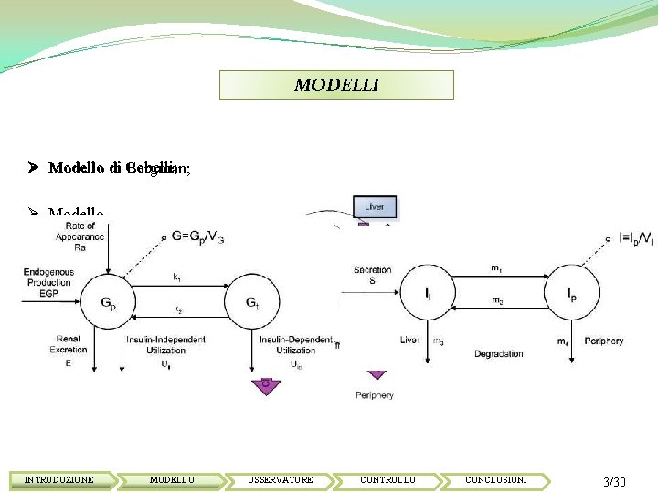 MODELLI Ø Modello di Cobelli; Bergman; Ø Modello di Cobelli; INTRODUZIONE MODELLO OSSERVATORE CONTROLLO