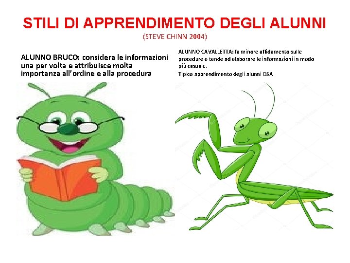 STILI DI APPRENDIMENTO DEGLI ALUNNI (STEVE CHINN 2004) ALUNNO BRUCO: considera le informazioni una