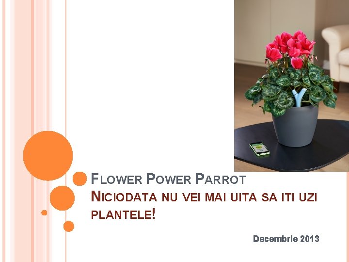 FLOWER PARROT NICIODATA NU VEI MAI UITA SA ITI UZI PLANTELE! Decembrie 2013 