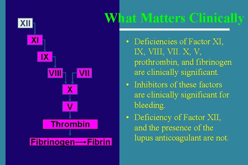 What Matters Clinically XII XI IX VIII VII X V Thrombin Fibrinogen Fibrin •