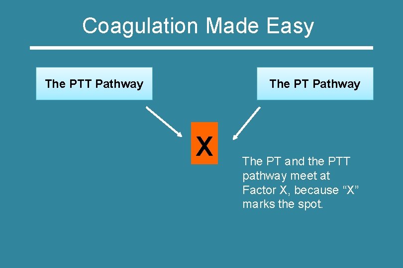Coagulation Made Easy The PTT Pathway The PT Pathway X The PT and the