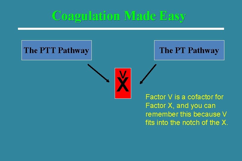 Coagulation Made Easy The PTT Pathway The PT Pathway V X Factor V is