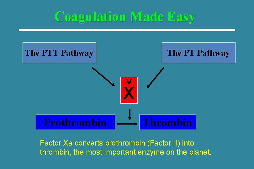 Coagulation Made Easy The PTT Pathway The PT Pathway V X Prothrombin Thrombin Factor