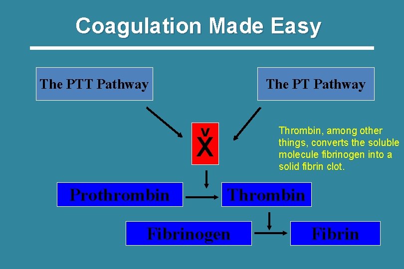 Coagulation Made Easy The PTT Pathway The PT Pathway V Thrombin, among other things,