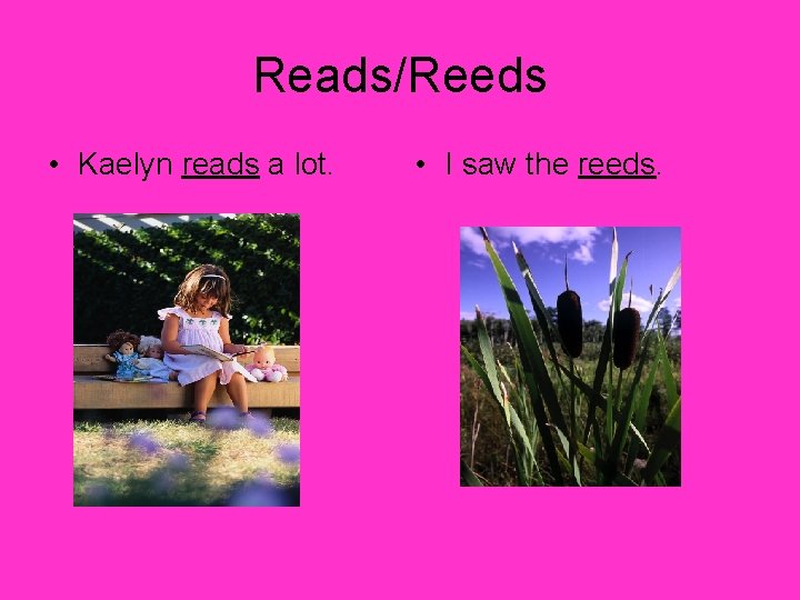 Reads/Reeds • Kaelyn reads a lot. • I saw the reeds. 