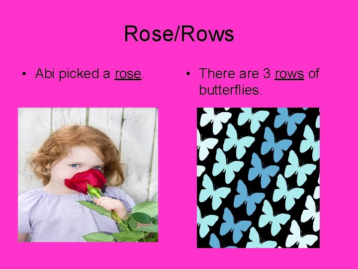 Rose/Rows • Abi picked a rose. • There are 3 rows of butterflies. 