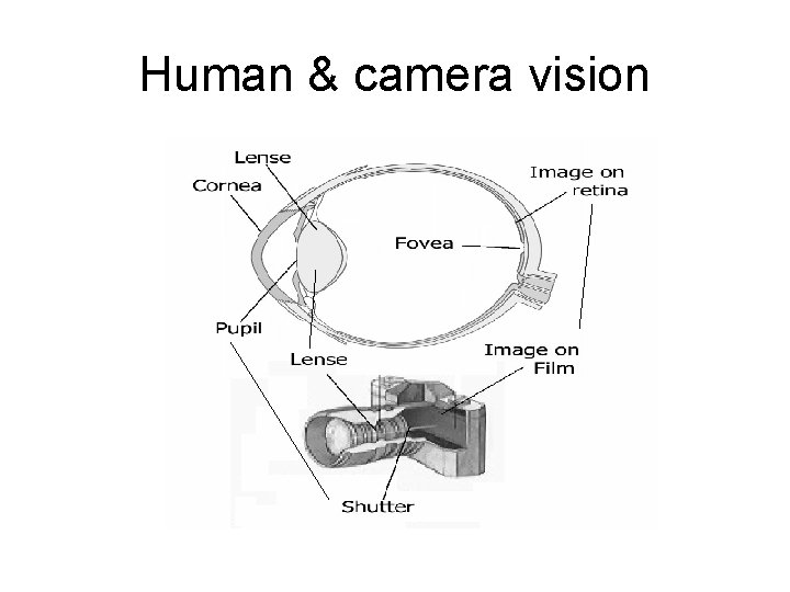 Digital Image Fundamentals What Makes a good image
