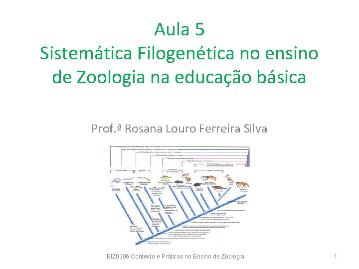 Aula 5 Sistemática Filogenética no ensino de Zoologia na educação básica Prof. ª Rosana