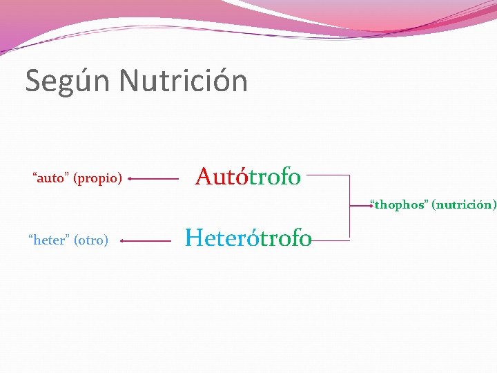 Según Nutrición “auto” (propio) Autótrofo “thophos” (nutrición) “heter” (otro) Heterótrofo 
