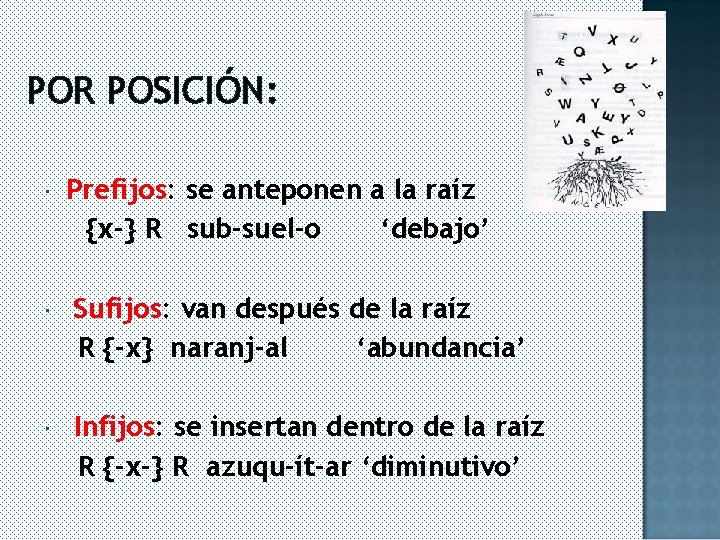 POR POSICIÓN: Prefijos: se anteponen a la raíz {x-} R sub-suel-o ‘debajo’ Sufijos: van