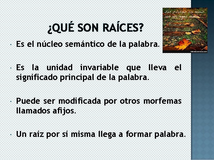 ¿QUÉ SON RAÍCES? Es el núcleo semántico de la palabra. Es la unidad invariable