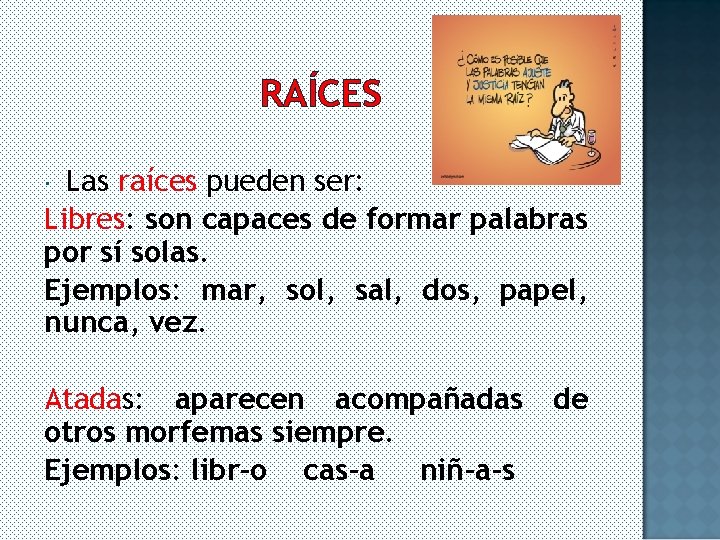 RAÍCES Las raíces pueden ser: Libres: son capaces de formar palabras por sí solas.