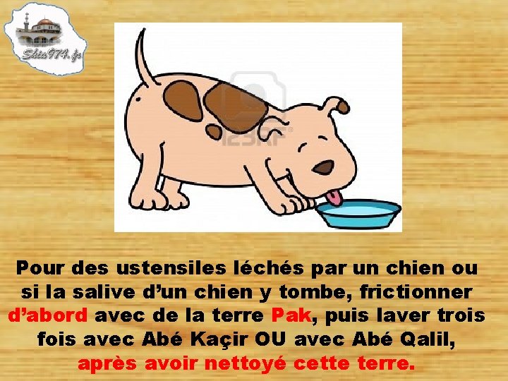 Pour des ustensiles léchés par un chien ou si la salive d’un chien y