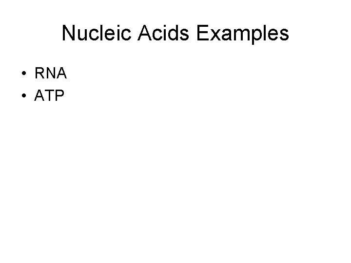 Nucleic Acids Examples • RNA • ATP 