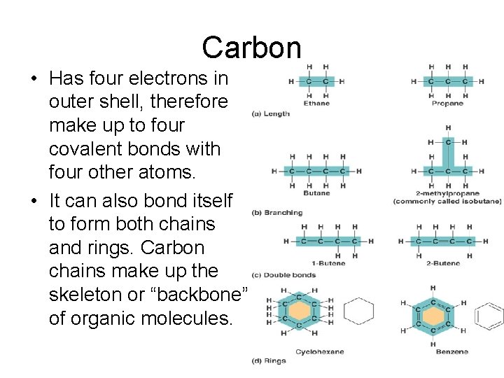 Carbon • Has four electrons in outer shell, therefore make up to four covalent