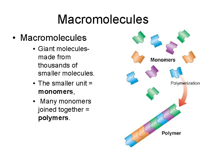 Macromolecules • Giant moleculesmade from thousands of smaller molecules. • The smaller unit =