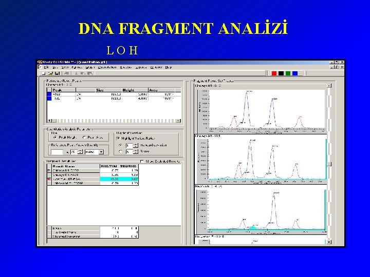 DNA FRAGMENT ANALİZİ LOH 