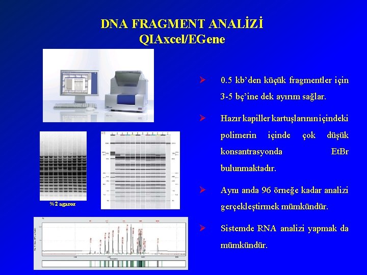 DNA FRAGMENT ANALİZİ QIAxcel/EGene Ø 0. 5 kb’den küçük fragmentler için 3 -5 bç’ine