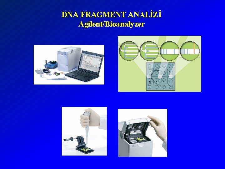 DNA FRAGMENT ANALİZİ Agilent/Bioanalyzer 