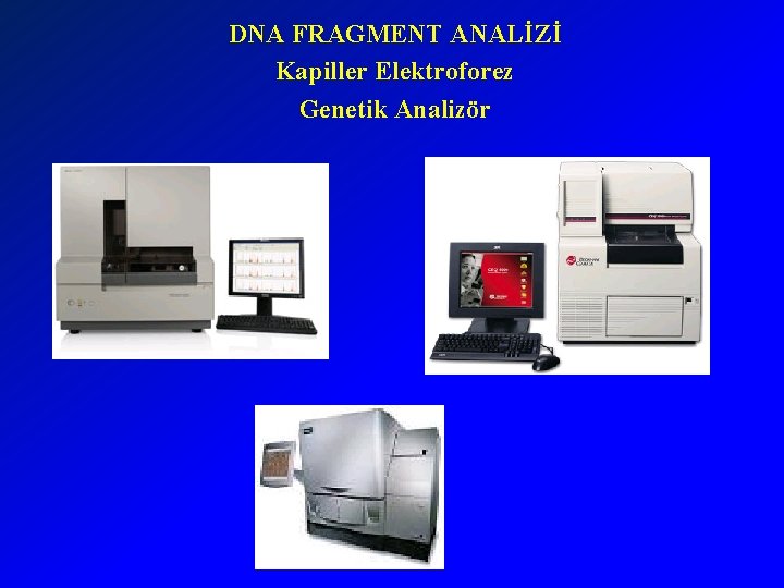 DNA FRAGMENT ANALİZİ Kapiller Elektroforez Genetik Analizör 