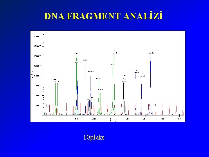 DNA FRAGMENT ANALİZİ 10 pleks 