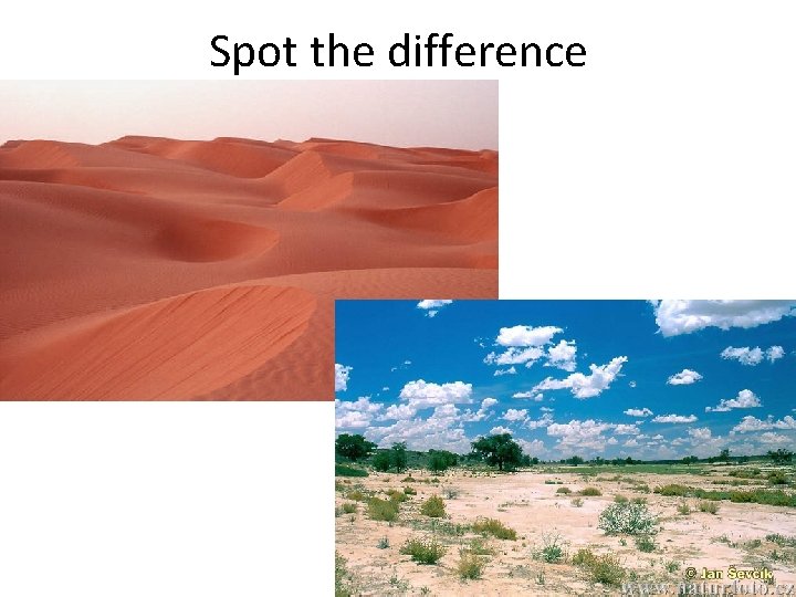 Spot the difference 