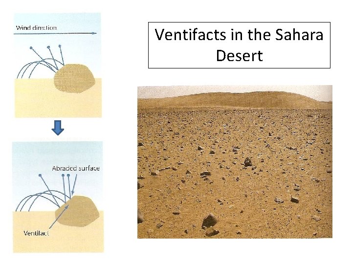 Ventifacts in the Sahara Desert 