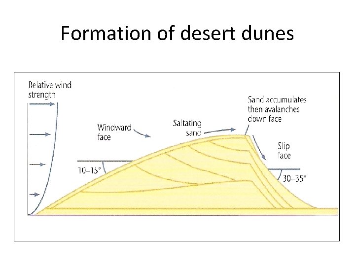 Formation of desert dunes 