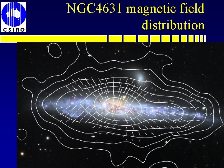 NGC 4631 magnetic field distribution May 2012 13 