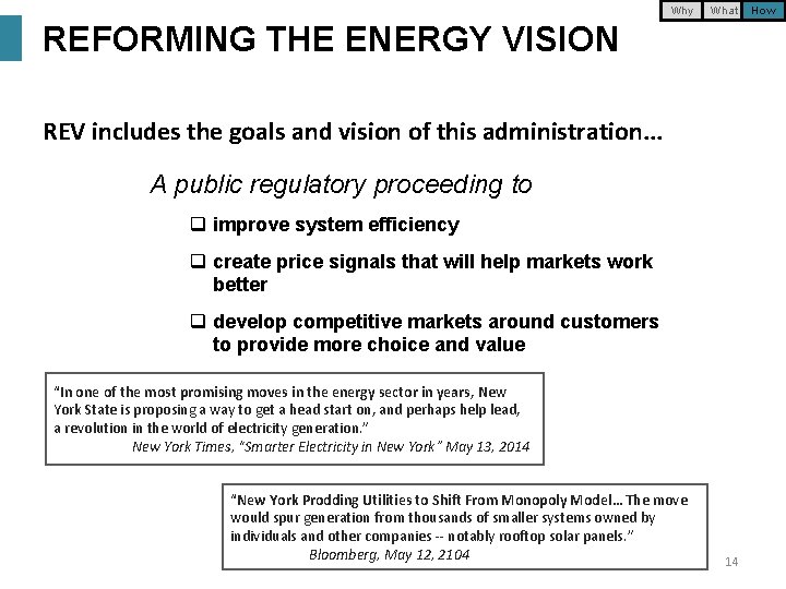 Why What REFORMING THE ENERGY VISION REV includes the goals and vision of this