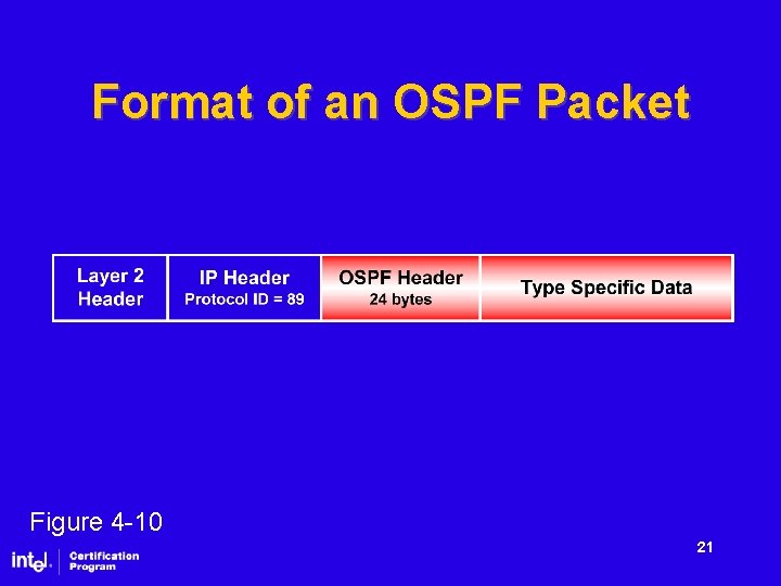 Format of an OSPF Packet Figure 4 -10 21 