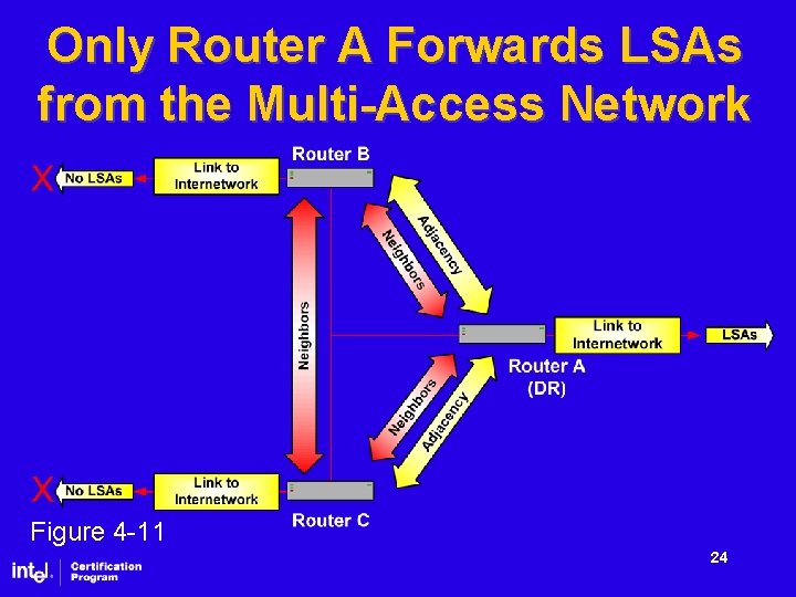 Only Router A Forwards LSAs from the Multi-Access Network Figure 4 -11 24 