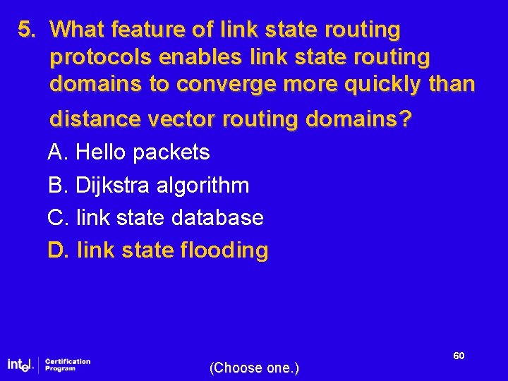 5. What feature of link state routing protocols enables link state routing domains to