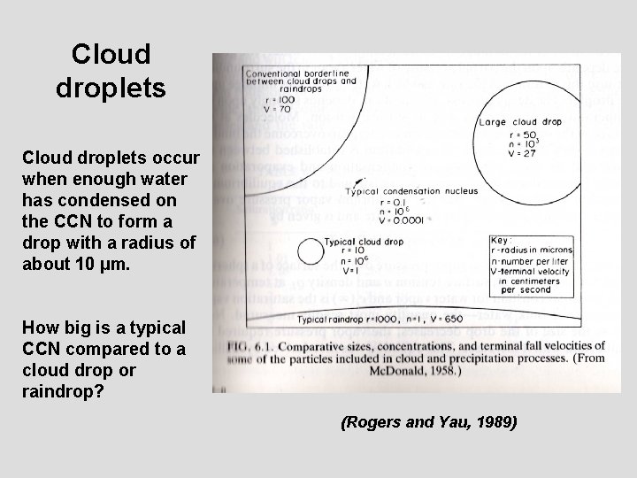 Cloud droplets occur when enough water has condensed on the CCN to form a