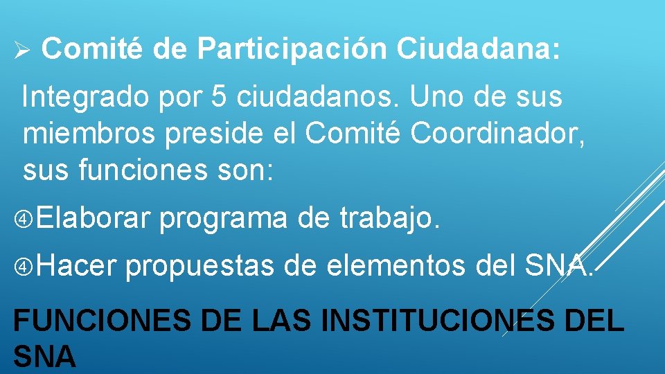 Ø Comité de Participación Ciudadana: Integrado por 5 ciudadanos. Uno de sus miembros preside