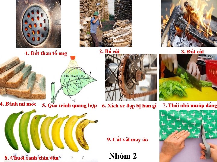 1. Đốt than tổ ong 4. Bánh mì mốc 2. Bổ củi 5. Qúa