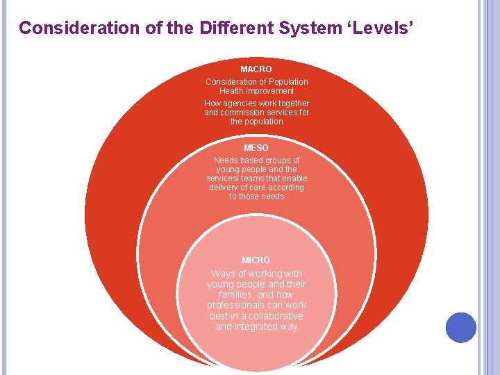 Consideration of the Different System ‘Levels’ MACRO Consideration of Population Health Improvement How agencies