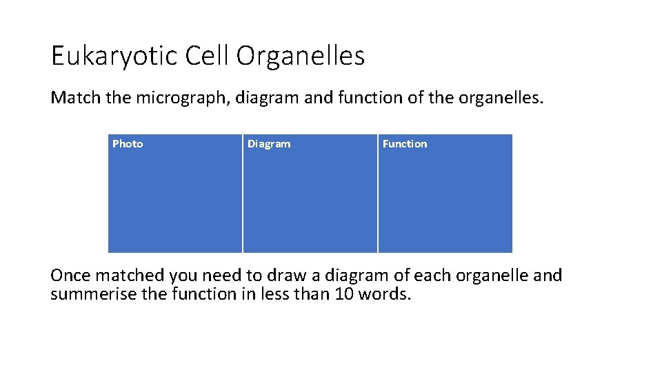 1 2 Ultrastructure of Cells Levels of organisation