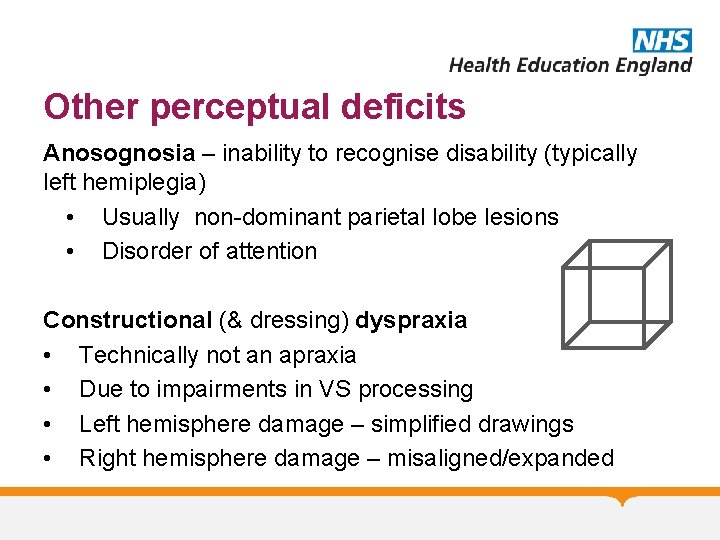 Other perceptual deficits Anosognosia – inability to recognise disability (typically left hemiplegia) • Usually