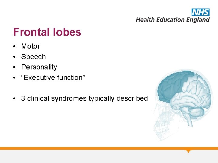 Frontal lobes • • Motor Speech Personality “Executive function” • 3 clinical syndromes typically